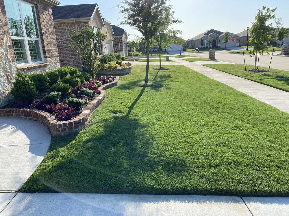 Custom yard cleanup service in Allen, TX - CitiTurf