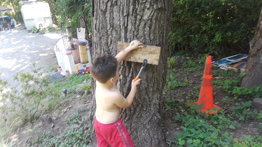 Custom lawn mowing service with custom design in Dover, PA by Citizen Landscaping-Property Contracting