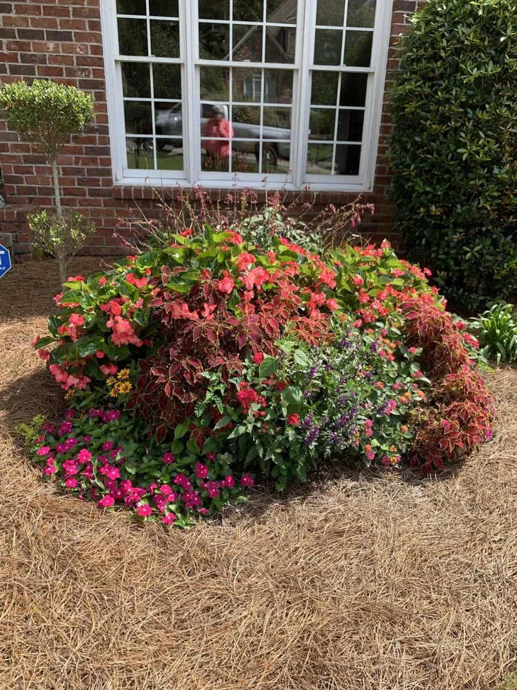 Trusted yard maintenance for beautiful yards in Alabaster, AL by Citrine Landscape And Construction