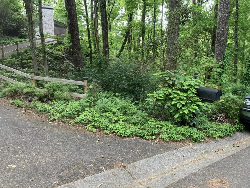 Trusted lawn care service for outdoor upgrades across Alabaster, AL - Citrine Landscape And Construction