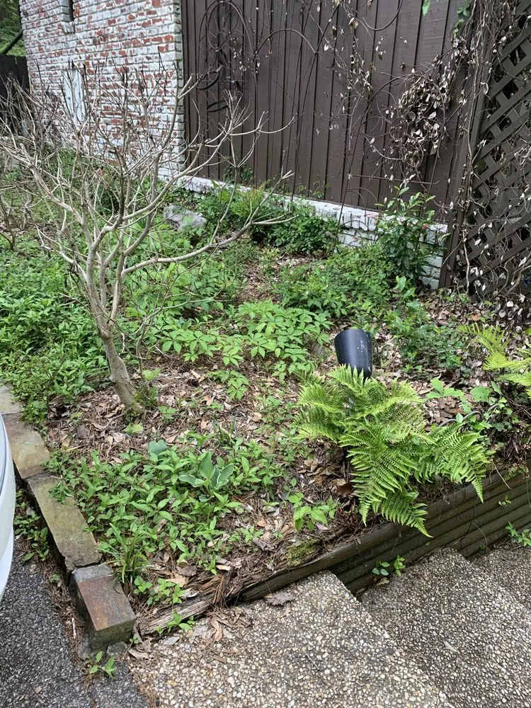 Reliable landscape installation for beautiful yards across Alabaster, AL - Citrine Landscape And Construction