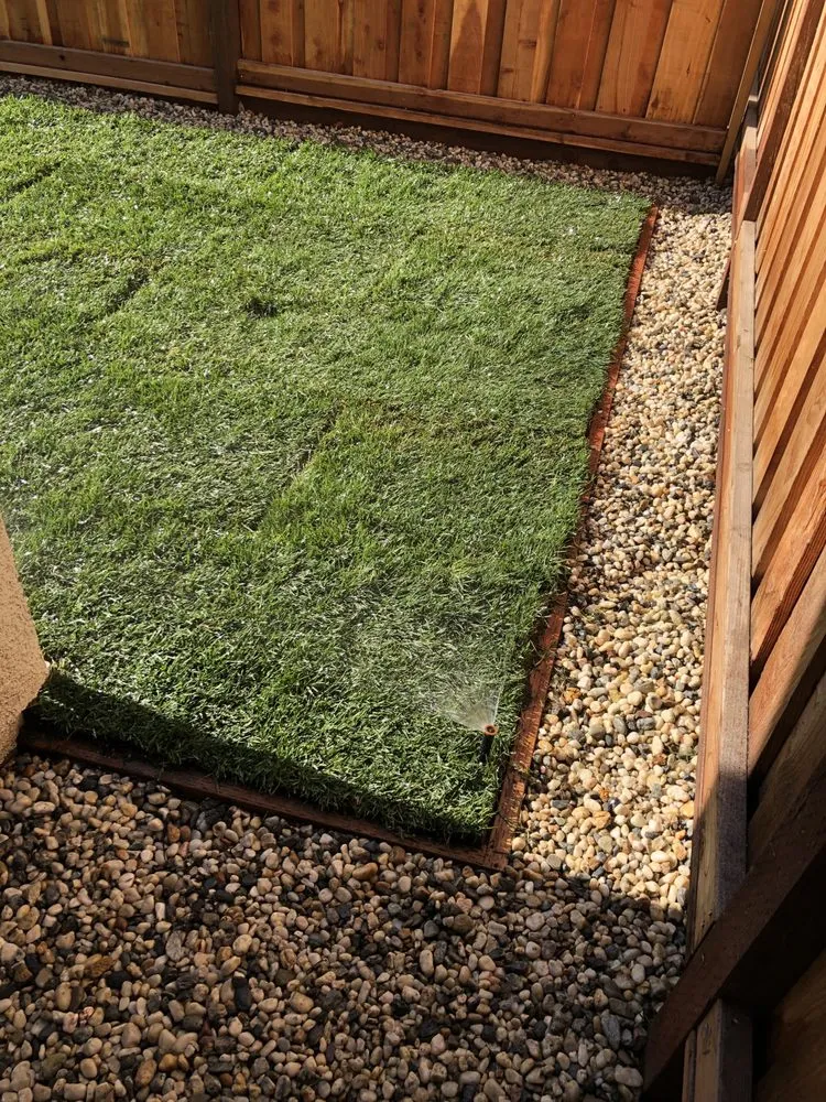 Expert lawn care service in Discovery bay, CA by Citrine Landscape Company