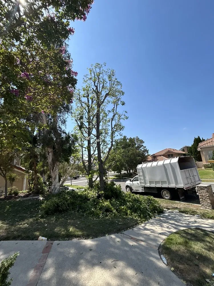 Affordable landscape design in Riverside, CA by Citrus Bloom Landscape