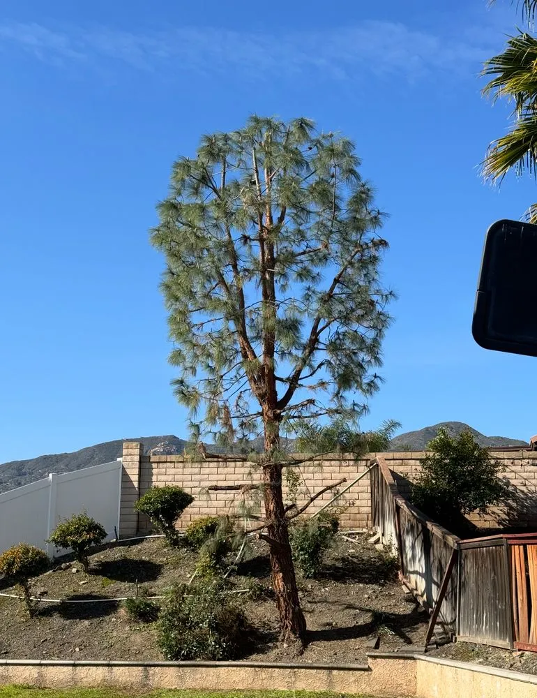 Professional outdoor landscaping experts serving Riverside, CA - Citrus Bloom Landscape