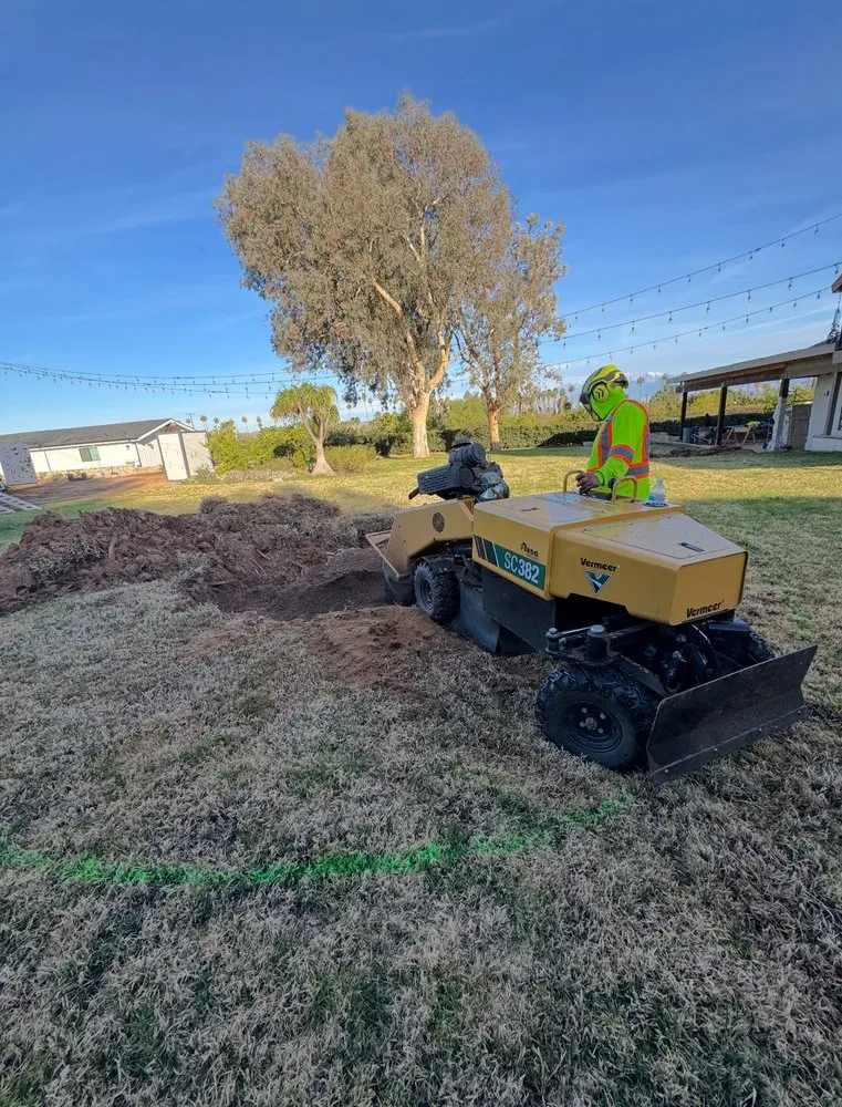 Custom yard cleanup service in Riverside, CA - Citrus Bloom Landscape