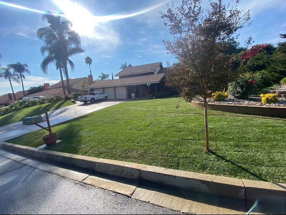 Expert residential landscaping experts serving Riverside, CA - Citrus Bloom Landscape