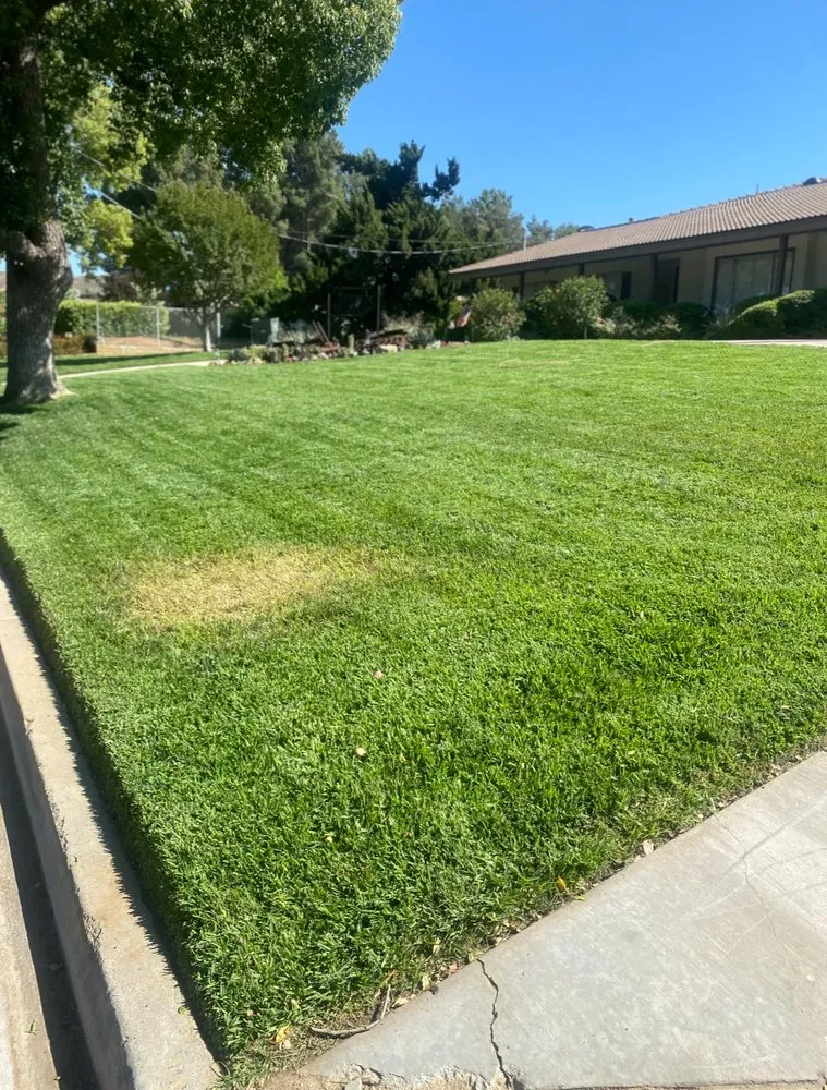 Reliable residential landscaping for residential properties in Riverside, CA by Citrus Bloom Landscape