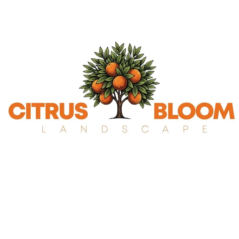 Reliable yard cleanup service experts serving Riverside, CA - Citrus Bloom Landscape