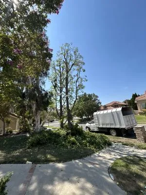 Citrus Bloom Landscape Logo