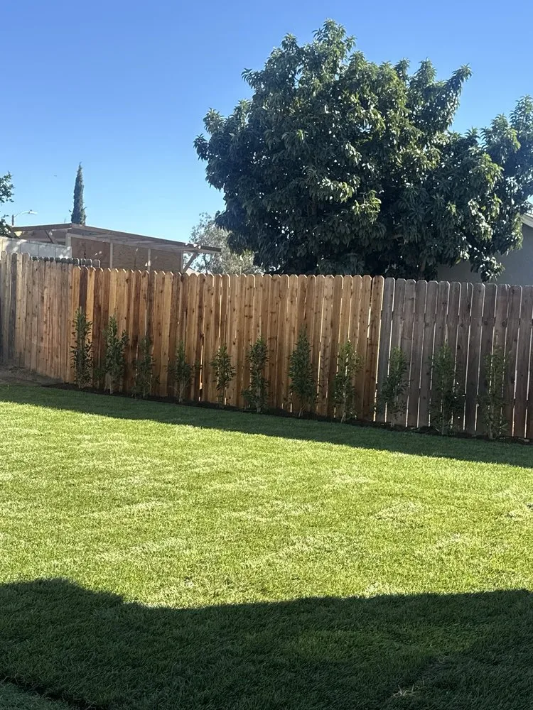 Trusted lawn care service for homes across Baldwin Park, CA - Citrus Landscape