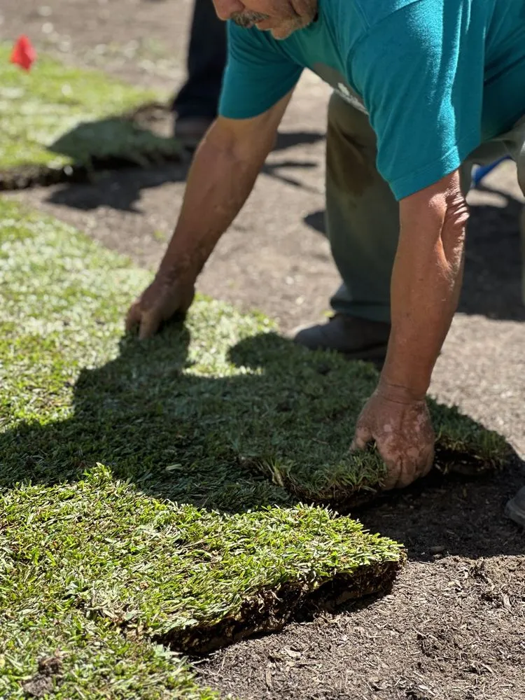 Custom landscape installation in Baldwin Park, CA by Citrus Landscape