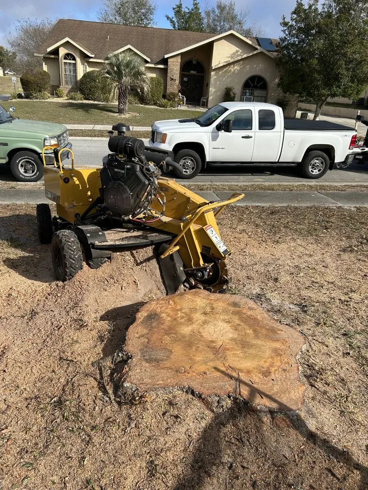Custom yard maintenance for year-round maintenance in Beverly Hills, FL by Citrus Tractor & Property Service