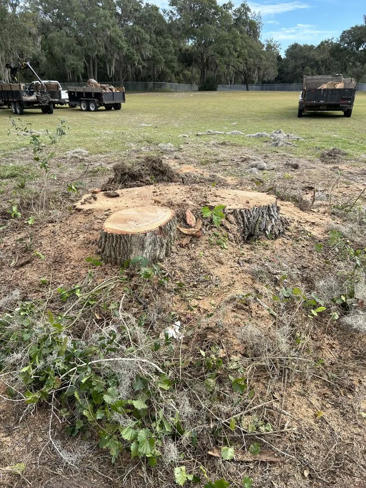 Custom yard cleanup service in Beverly Hills, FL by Citrus Tractor & Property Service