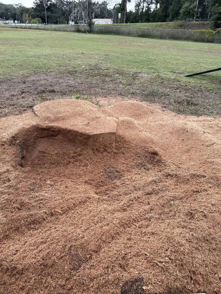 Top-rated landscape installation in Beverly Hills, FL - Citrus Tractor & Property Service