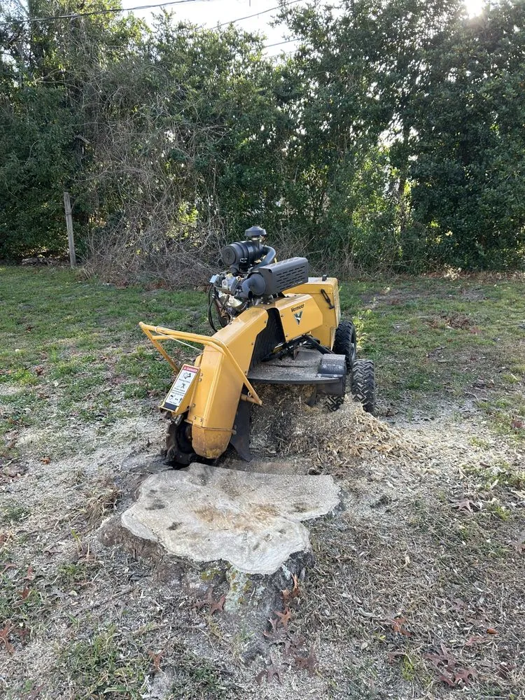 Expert outdoor landscaping with custom design across Beverly Hills, FL - Citrus Tractor & Property Service