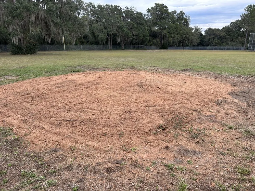 Trusted lawn care service near you in Beverly Hills, FL by Citrus Tractor & Property Service