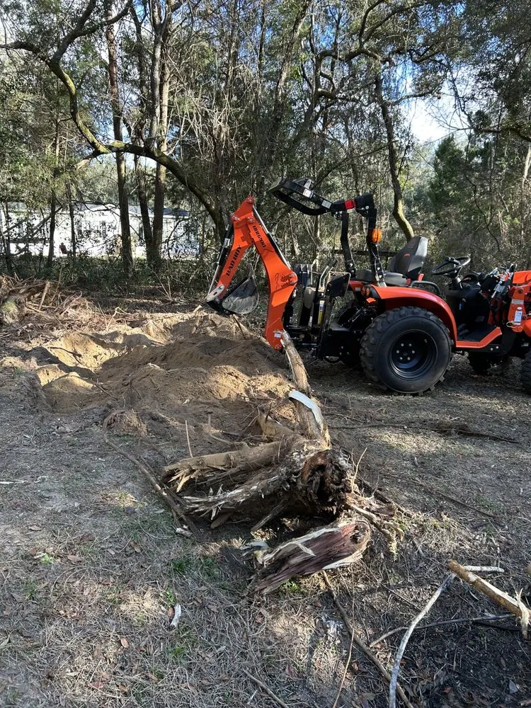 Top-rated residential landscaping for homes across Beverly Hills, FL - Citrus Tractor & Property Service
