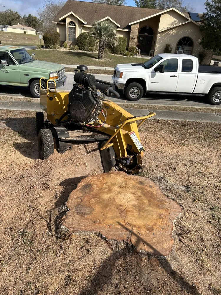 Reliable garden landscaping near you across Beverly Hills, FL - Citrus Tractor & Property Service