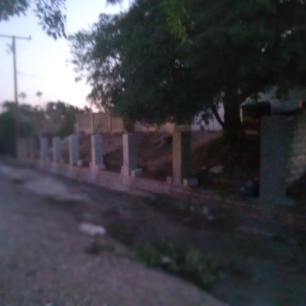 Reliable residential landscaping in Arcadia, CA by Citrus Valley Landscape And Property Maintenance