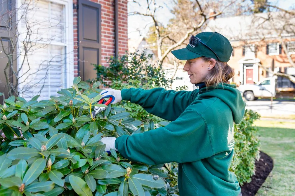 Expert lawn care service in Providence, RI by City & Estate Gardener