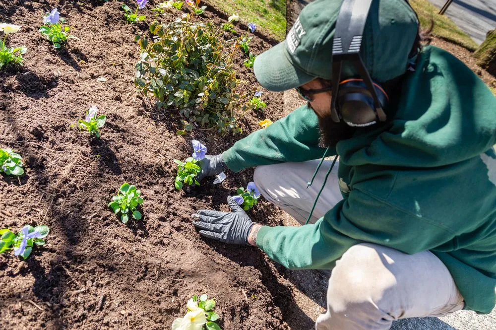 Local landscape installation in Providence, RI - City & Estate Gardener