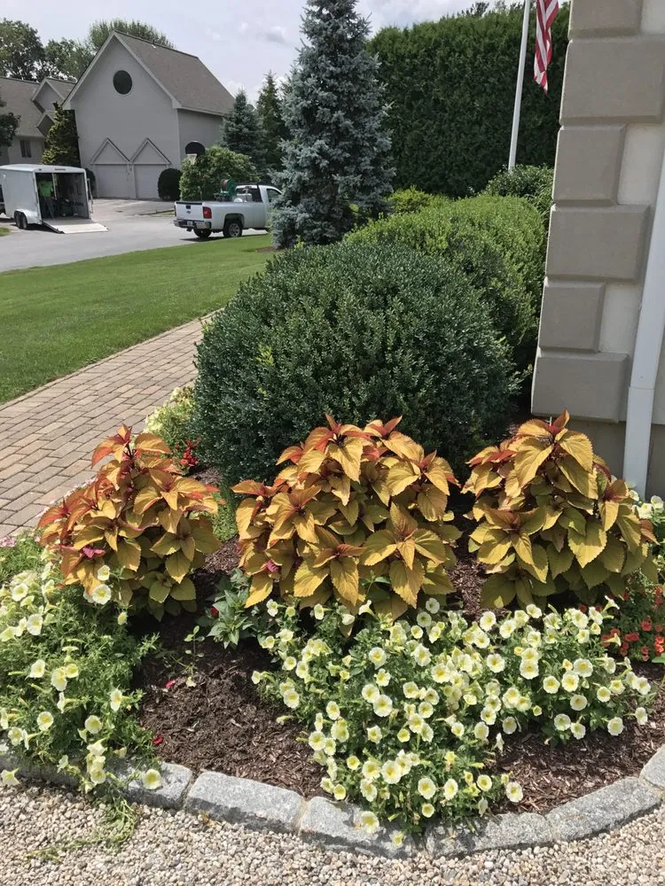 Professional landscape installation in Providence, RI - City & Estate Gardener