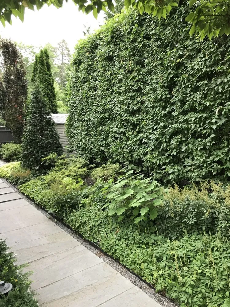 Local yard maintenance for residential properties across Providence, RI - City & Estate Gardener