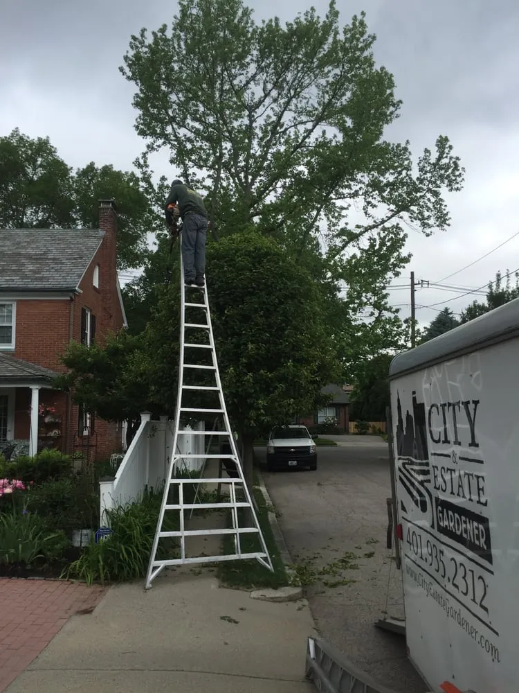 Top-rated lawn care service for outdoor upgrades across Providence, RI - City & Estate Gardener