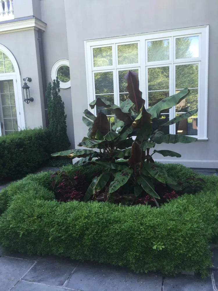 Affordable landscape design in Providence, RI - City & Estate Gardener