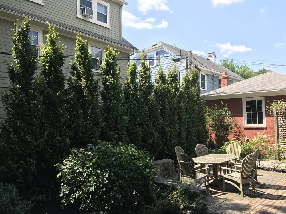 Local lawn care service near you in Providence, RI by City & Estate Gardener