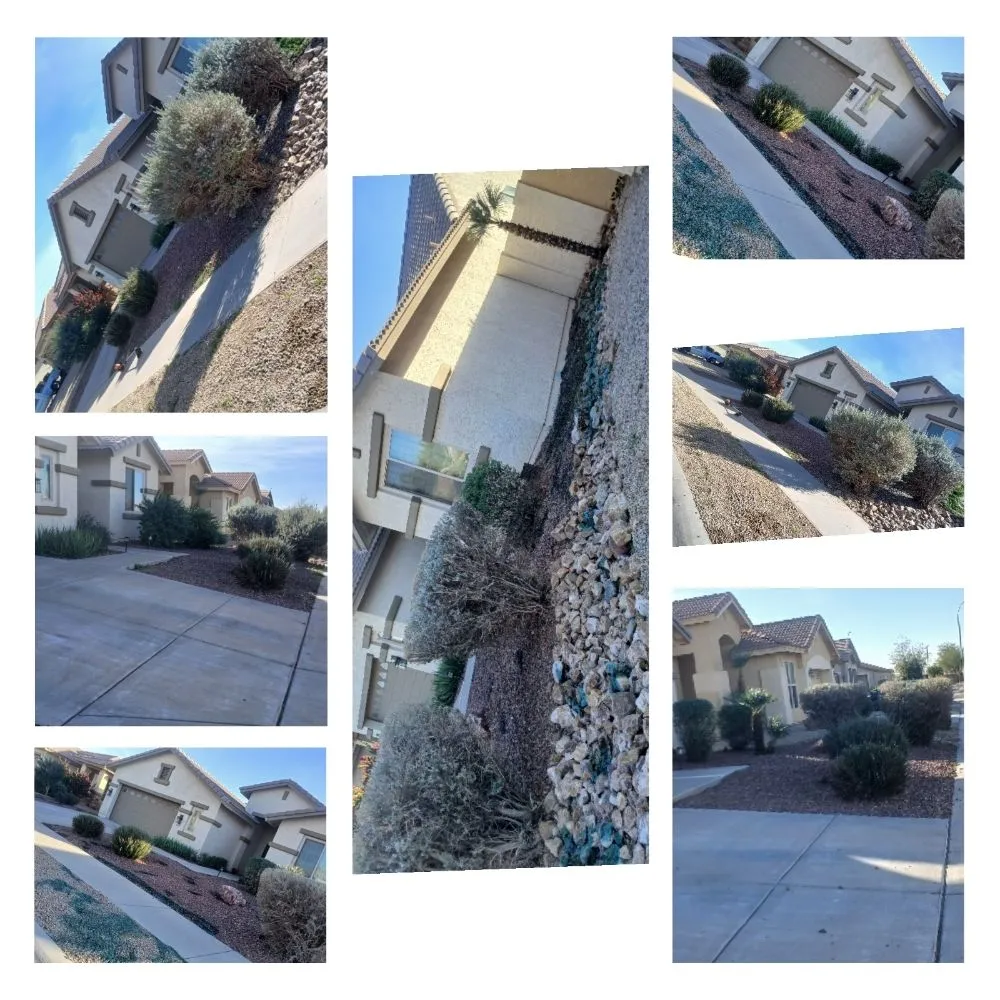 Reliable yard cleanup service experts serving Glendale, AZ - City 2 City Landscaping