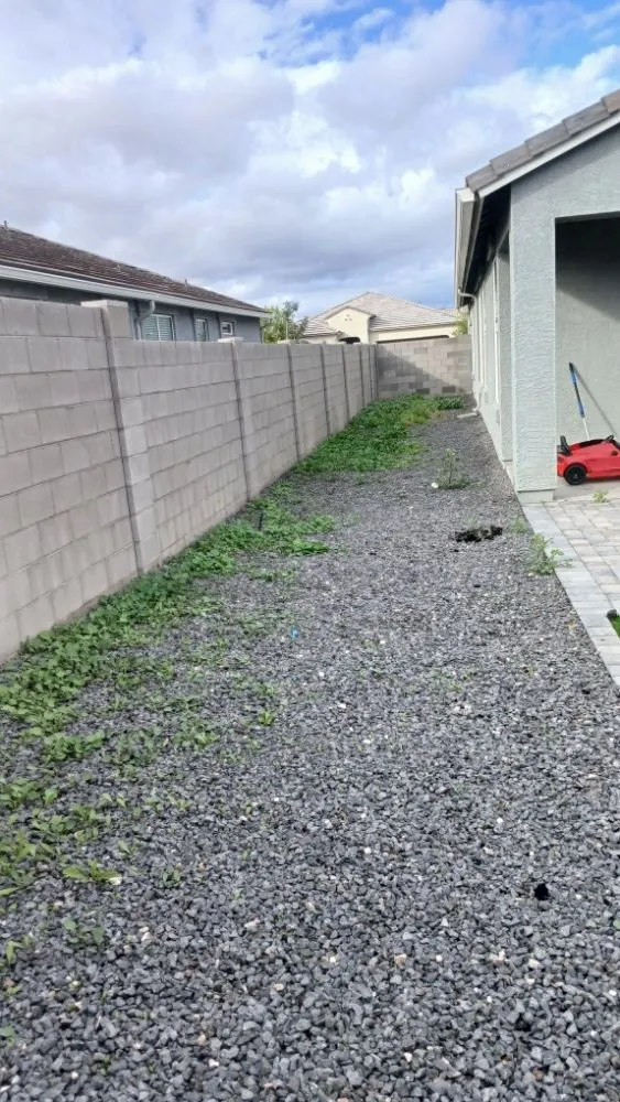 Top-rated landscaping services in Glendale, AZ - City 2 City Landscaping