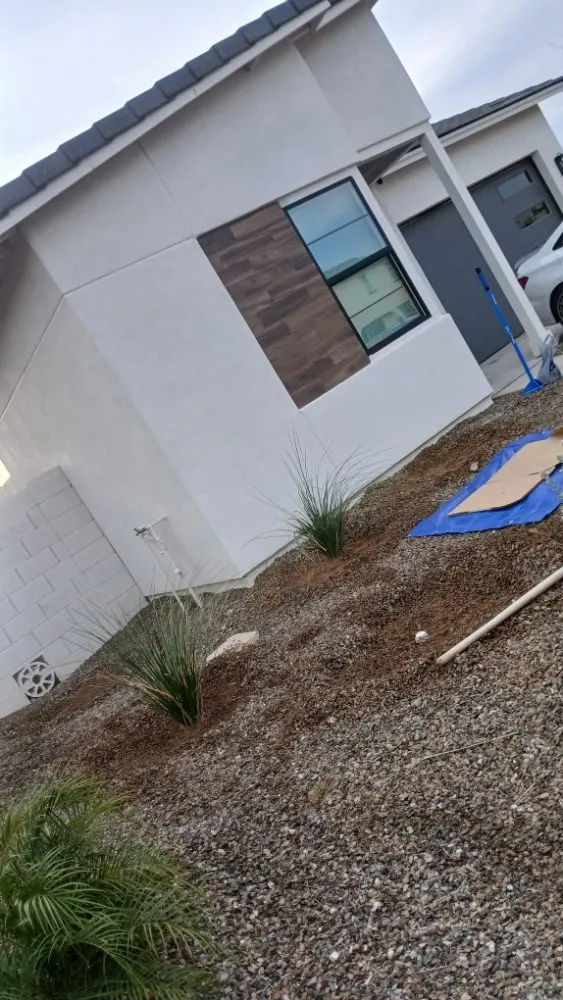 Professional yard cleanup service in Glendale, AZ by City 2 City Landscaping