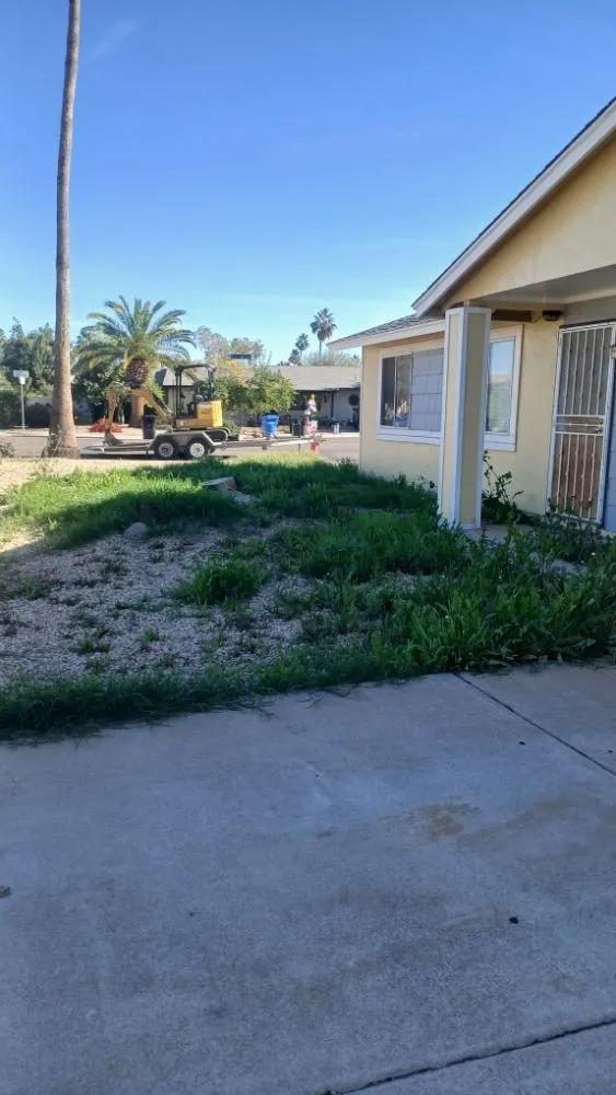 Reliable yard cleanup service in Glendale, AZ by City 2 City Landscaping