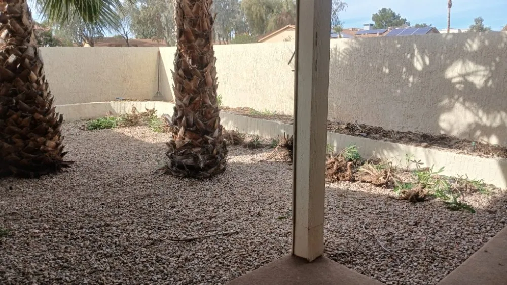 Affordable yard cleanup service for outdoor upgrades across Glendale, AZ - City 2 City Landscaping
