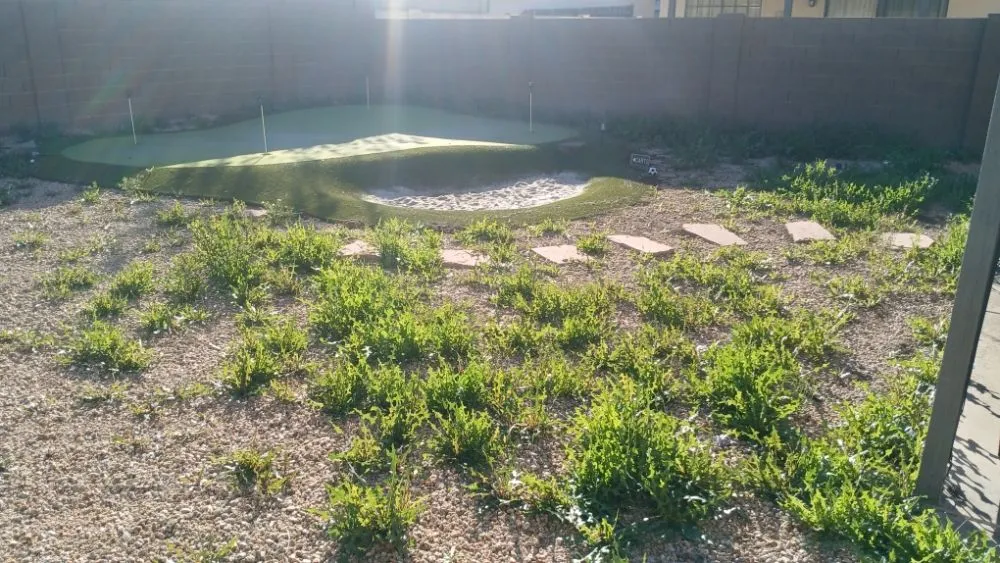 Top-rated garden landscaping in Glendale, AZ - City 2 City Landscaping