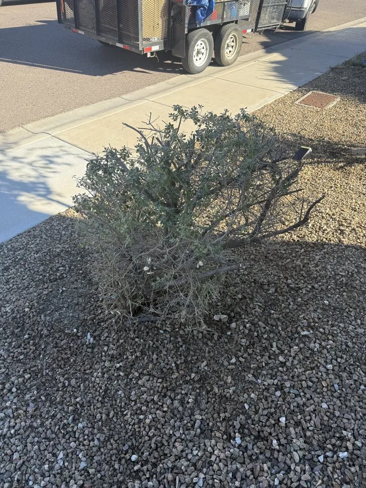 Custom garden landscaping near you in Glendale, AZ by City 2 City Landscaping