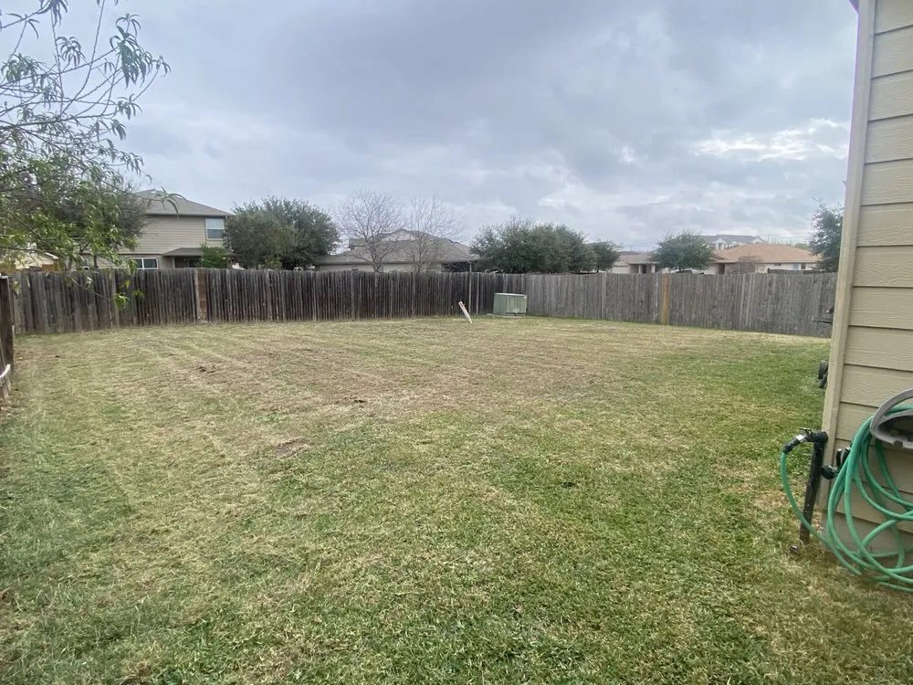 Trusted yard cleanup service in San Antonio, TX - City Base Lawn Care