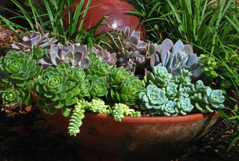 Trusted lawn care service for outdoor upgrades in Orlando, FL by City Beautiful Landscaping