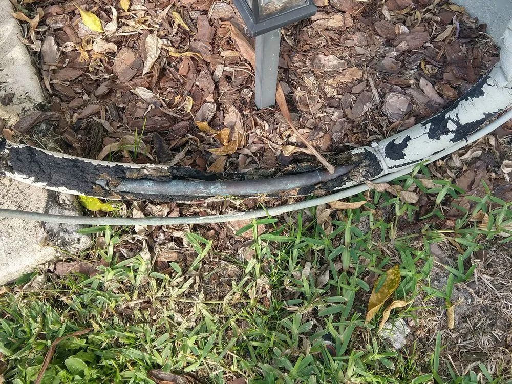 Local lawn mowing service experts serving Orlando, FL - City Beautiful Landscaping