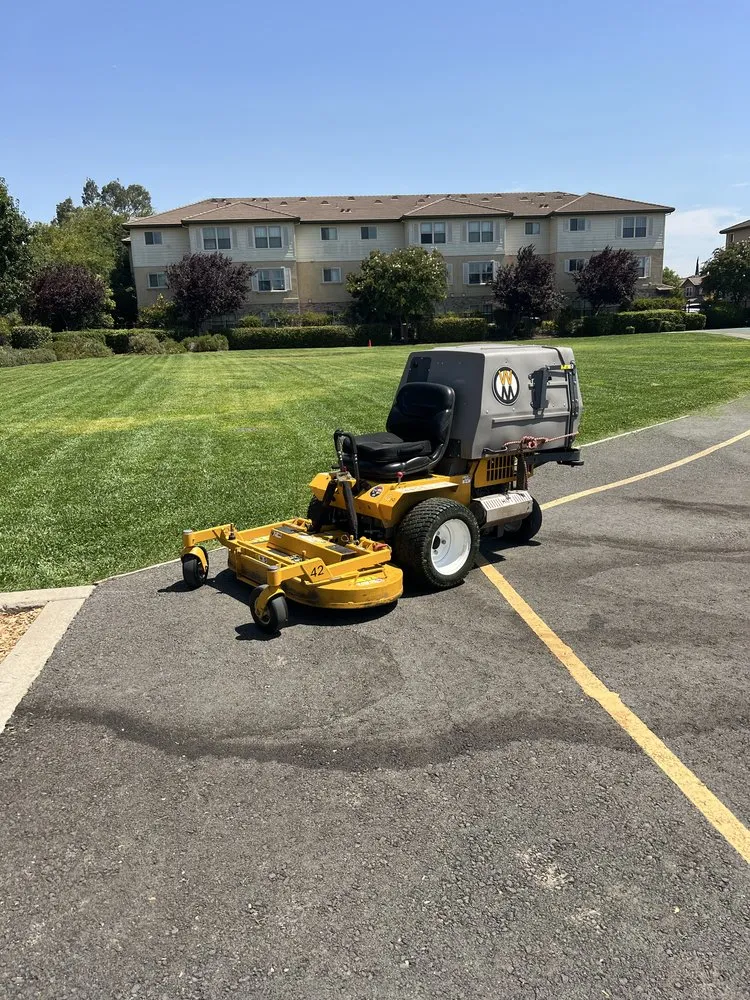 Affordable residential landscaping near you across Stockton, CA - City Bloom Landscapes