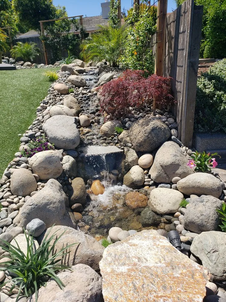 Expert outdoor landscaping in Stockton, CA by City Bloom Landscapes
