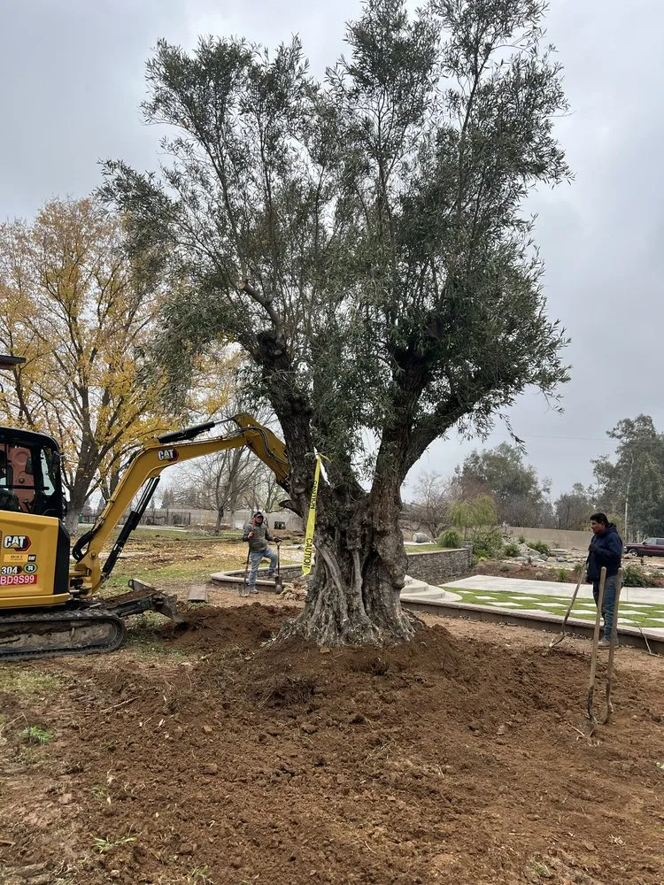 Custom landscaping services experts serving Stockton, CA - City Bloom Landscapes