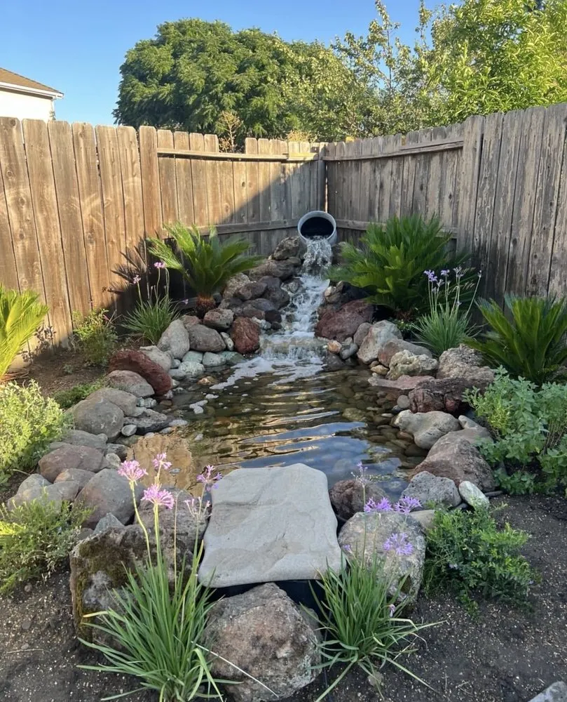 Professional landscape installation in Stockton, CA - City Bloom Landscapes