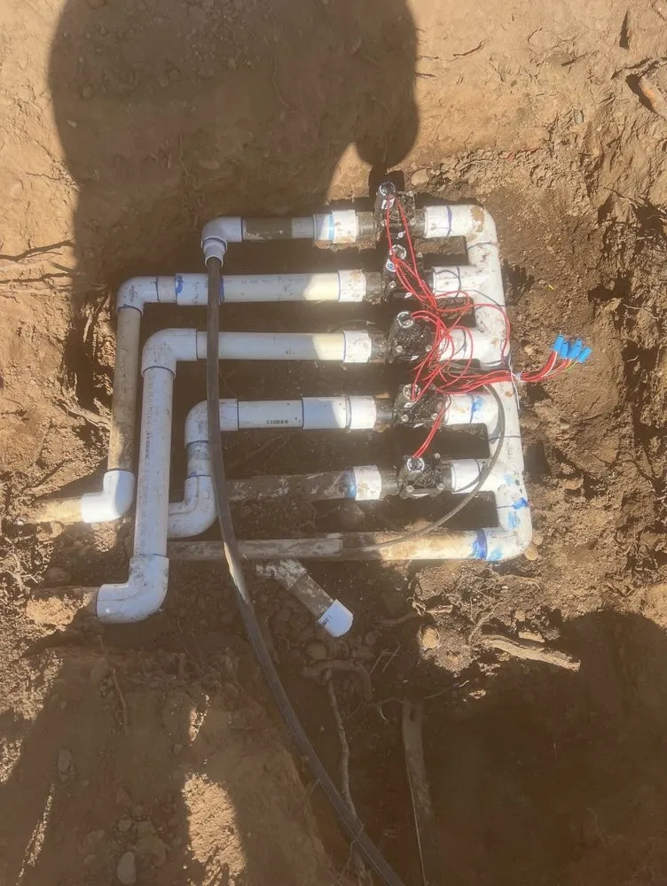 Custom landscape design experts serving Stockton, CA - City Bloom Landscapes