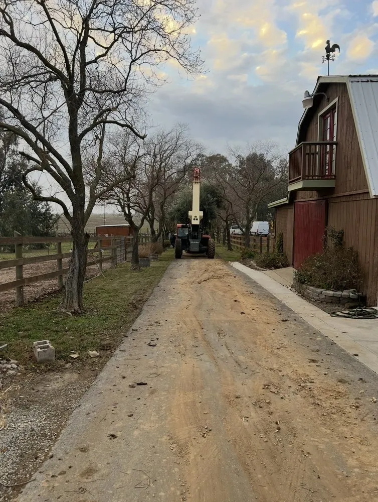 Reliable residential landscaping experts serving Stockton, CA - City Bloom Landscapes
