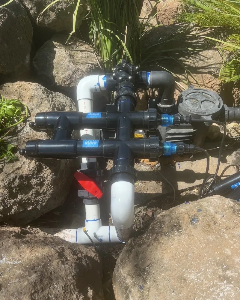 Local garden landscaping experts serving Stockton, CA - City Bloom Landscapes