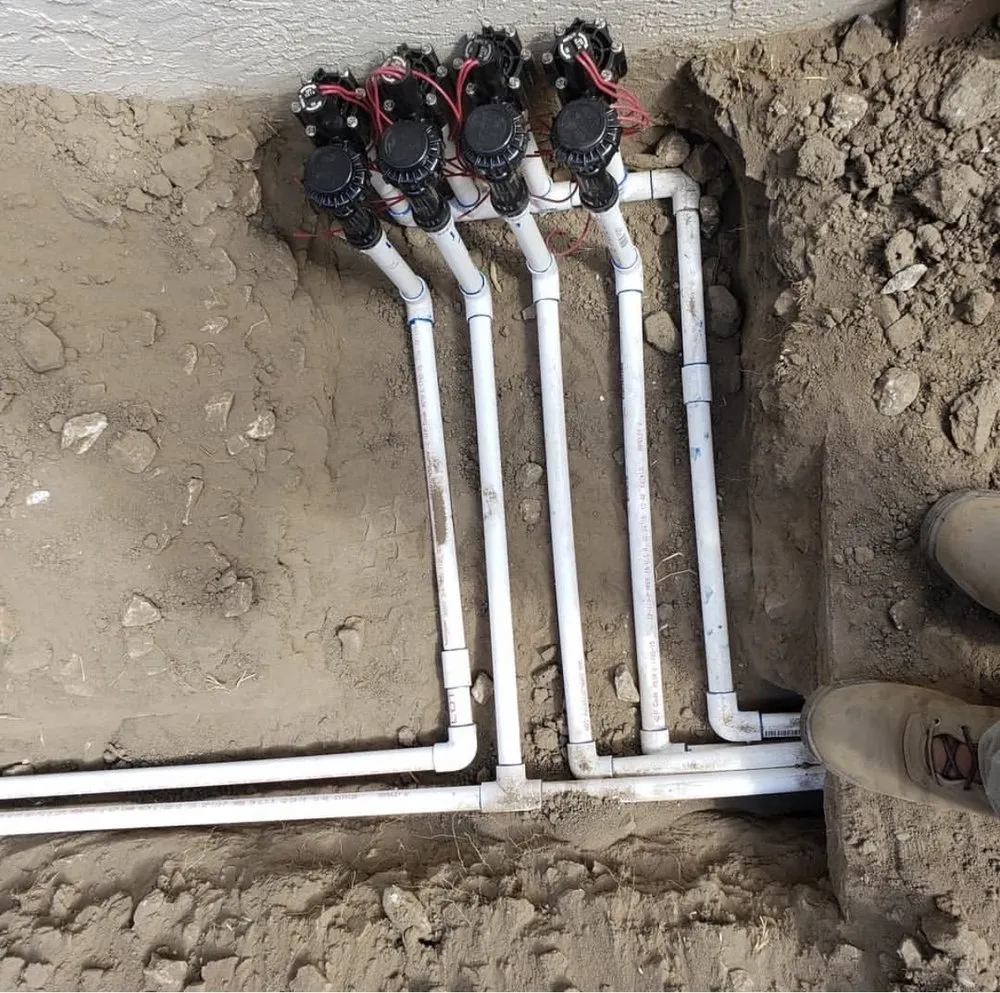 Custom yard cleanup service in Stockton, CA - City Bloom Landscapes