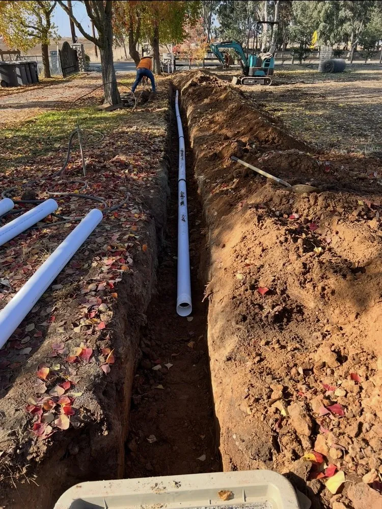 Top-rated lawn care service in Stockton, CA - City Bloom Landscapes