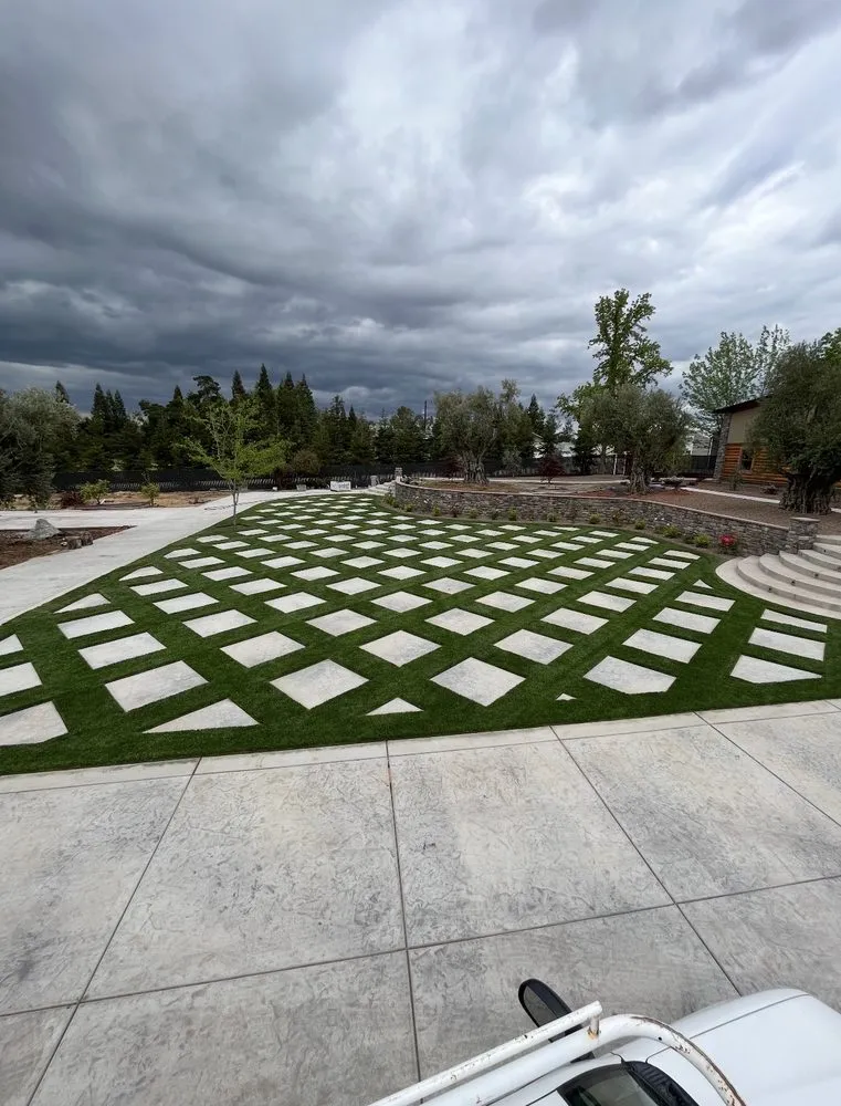 Expert yard cleanup service in Stockton, CA by City Bloom Landscapes